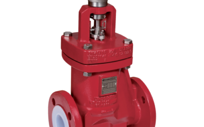 Why Choose Richter by IDEX for your Globe Valve Needs