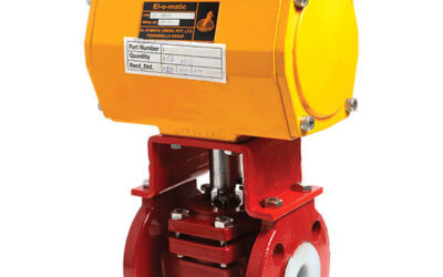 Why Choose Richter by IDEX for your Plug Valve Needs