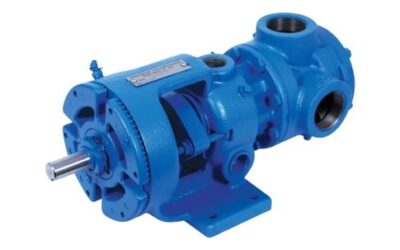 Reliable & Durable Gear Pump Solutions : Stainless Steel & Cast Iron Options