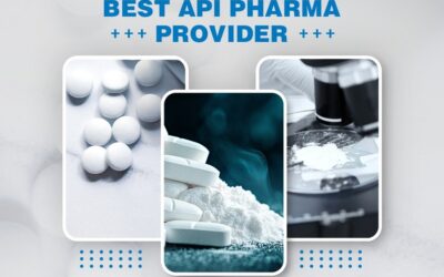 Choosing the Best API Pharma Provider: Key Factors to Consider